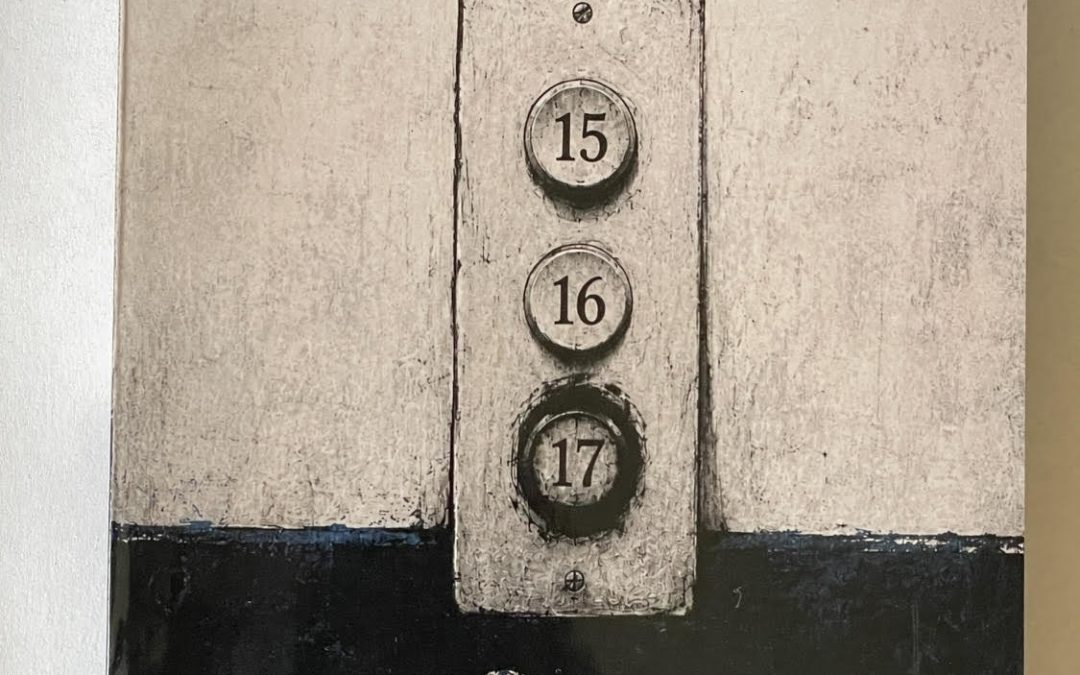 Sobre Deberías suicidarte conmigo: una antología de la imaginación -14 relatos de humor negro, amor y otras fatalidades